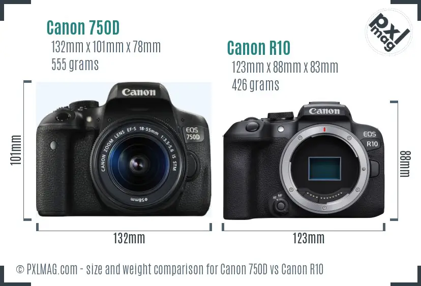 Canon 750D vs Canon R10 size comparison