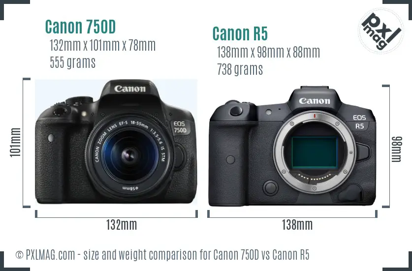 Canon 750D vs Canon R5 size comparison Canon 750D vs Canon R5 size comparison