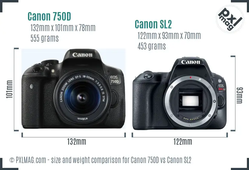 Canon 750D vs Canon SL2 size comparison