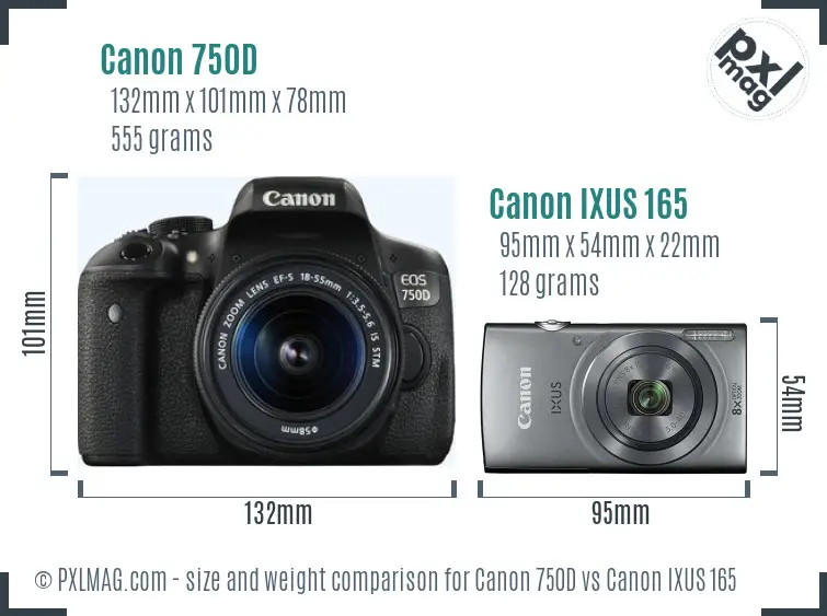 Canon 750D vs Canon IXUS 165 size comparison