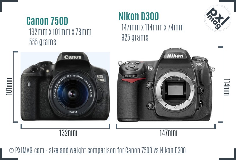 Canon 750D vs Nikon D300 size comparison
