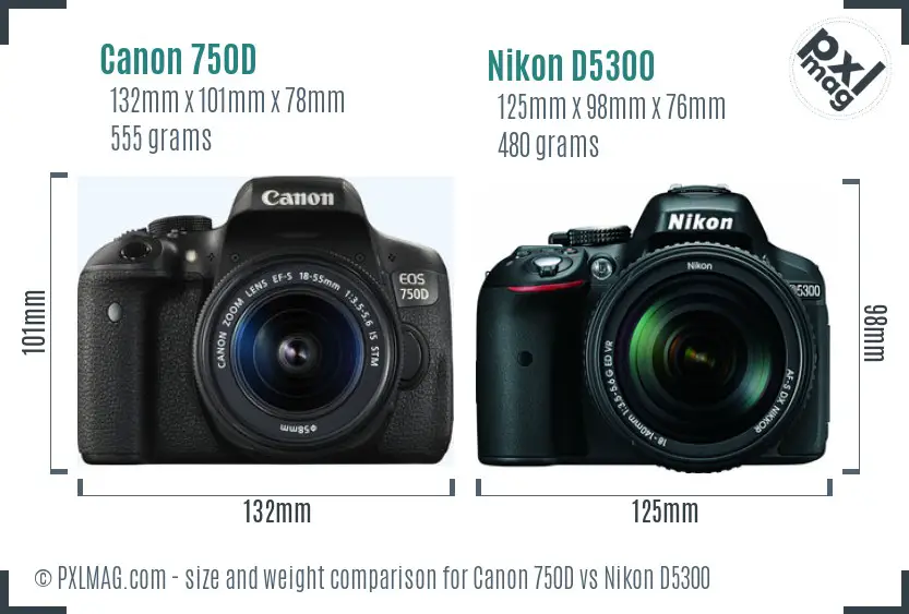 Canon 750D vs Nikon D5300 size comparison