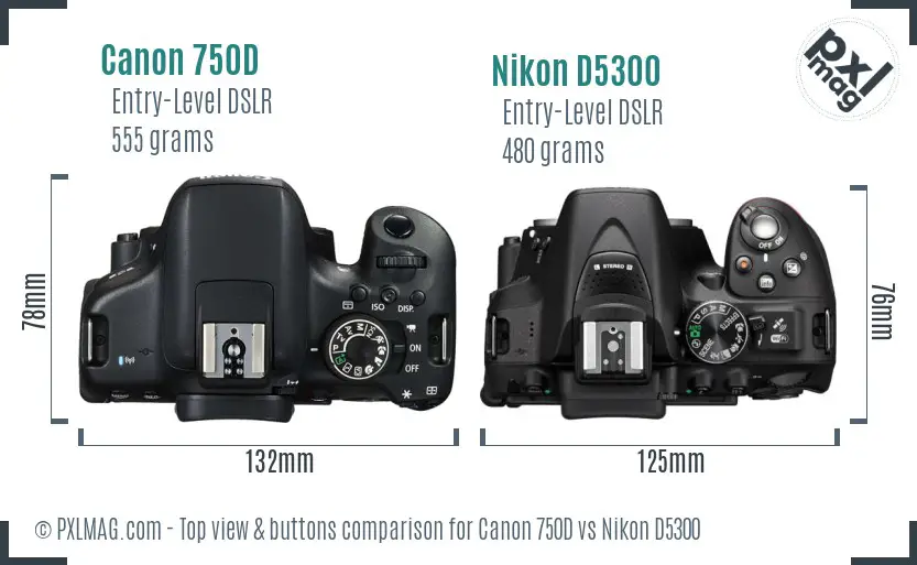 Canon 750D vs Nikon D5300 top view buttons comparison