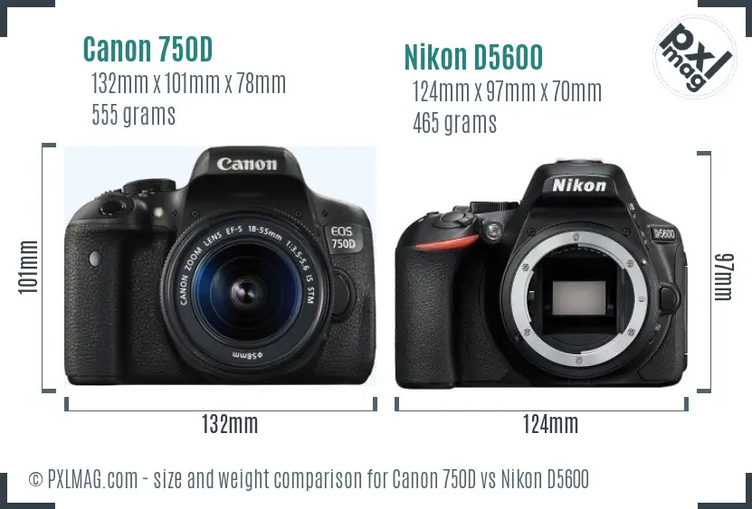 Canon 750D vs Nikon D5600 size comparison