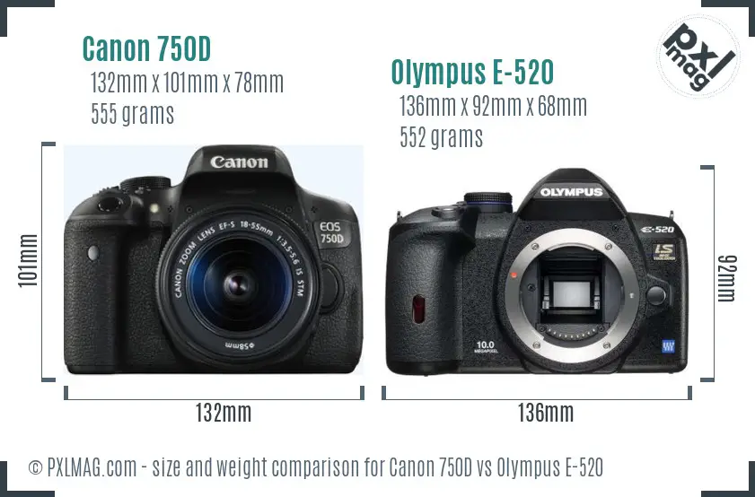 Canon 750D vs Olympus E-520 size comparison