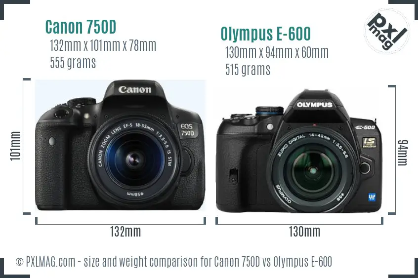 Canon 750D vs Olympus E-600 size comparison