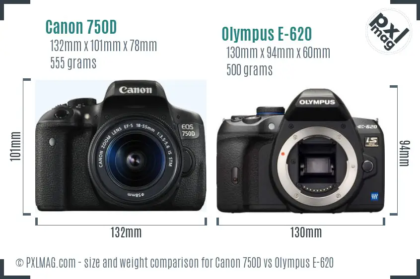 Canon 750D vs Olympus E-620 size comparison
