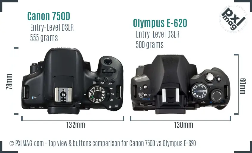 Canon 750D vs Olympus E-620 top view buttons comparison