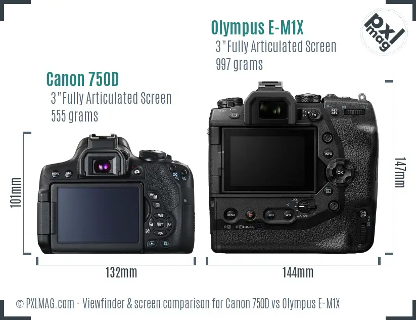 Canon 750D vs Olympus E-M1X Screen and Viewfinder comparison