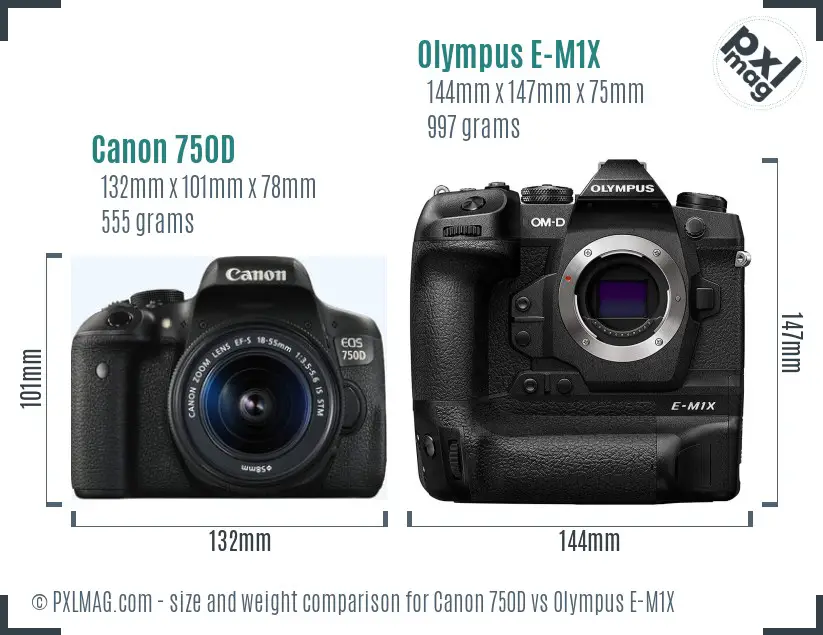 Canon 750D vs Olympus E-M1X size comparison