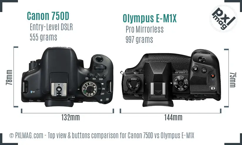 Canon 750D vs Olympus E-M1X top view buttons comparison