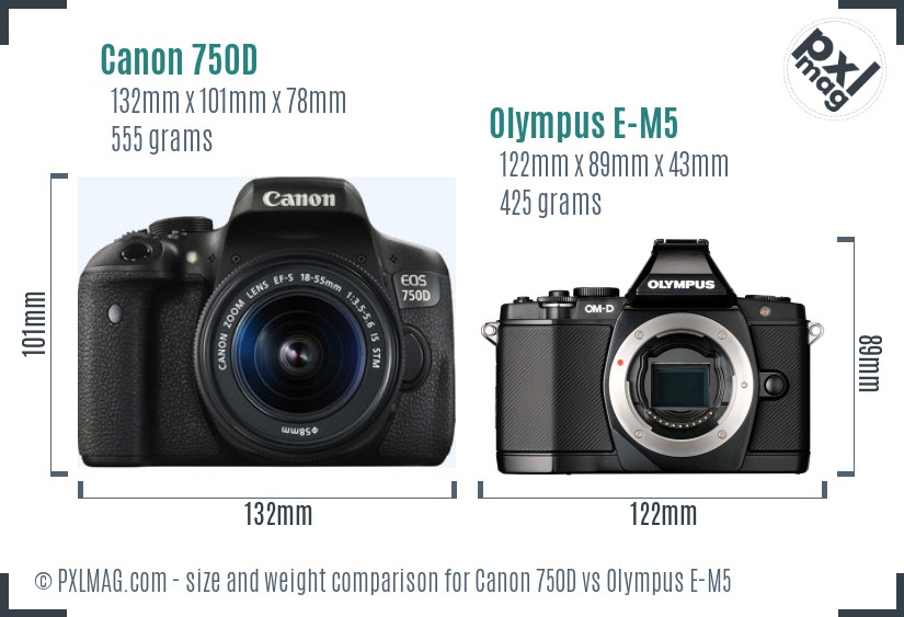 Canon 750D vs Olympus E-M5 size comparison