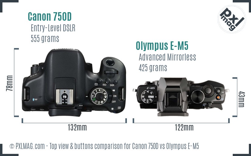 Canon 750D vs Olympus E-M5 top view buttons comparison