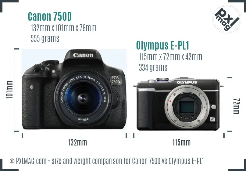 Canon 750D vs Olympus E-PL1 size comparison