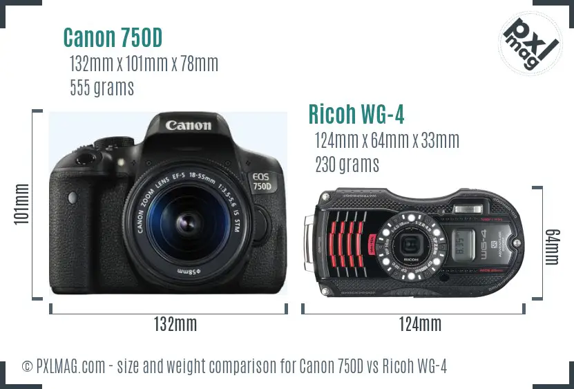Canon 750D vs Ricoh WG-4 size comparison