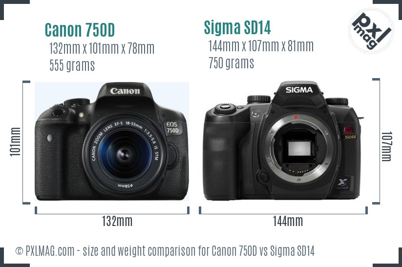 Canon 750D vs Sigma SD14 size comparison