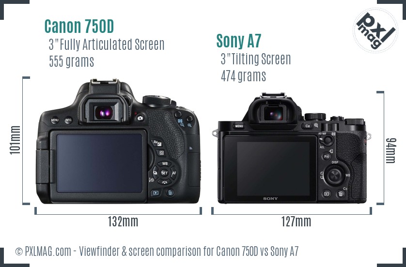Canon 750D vs Sony A7 Screen and Viewfinder comparison