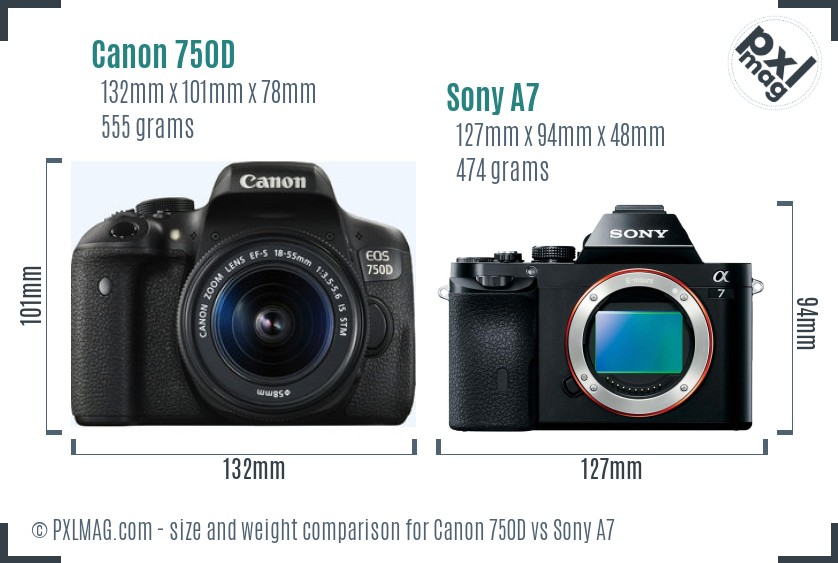 Canon 750D vs Sony A7 size comparison