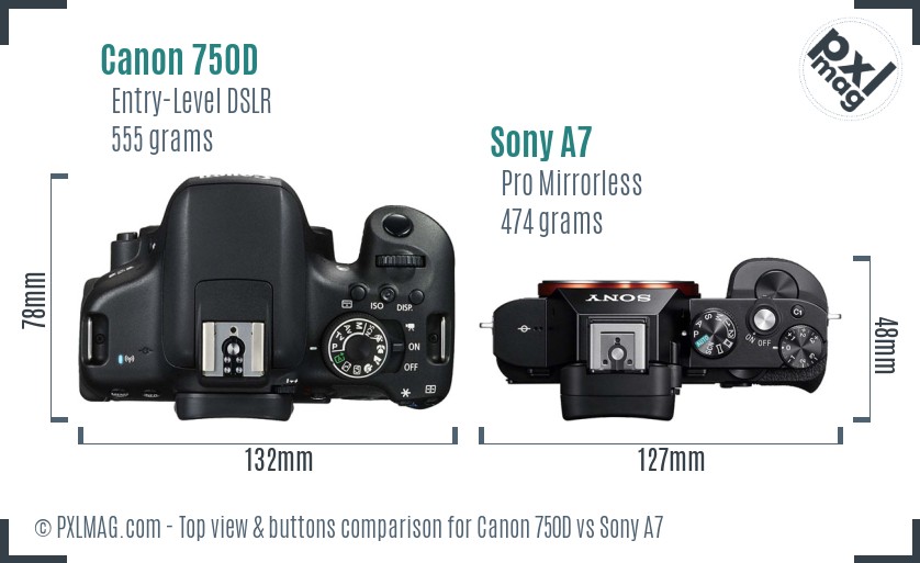 Canon 750D vs Sony A7 top view buttons comparison
