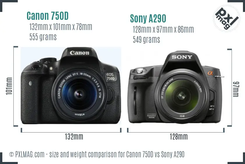 Canon 750D vs Sony A290 size comparison