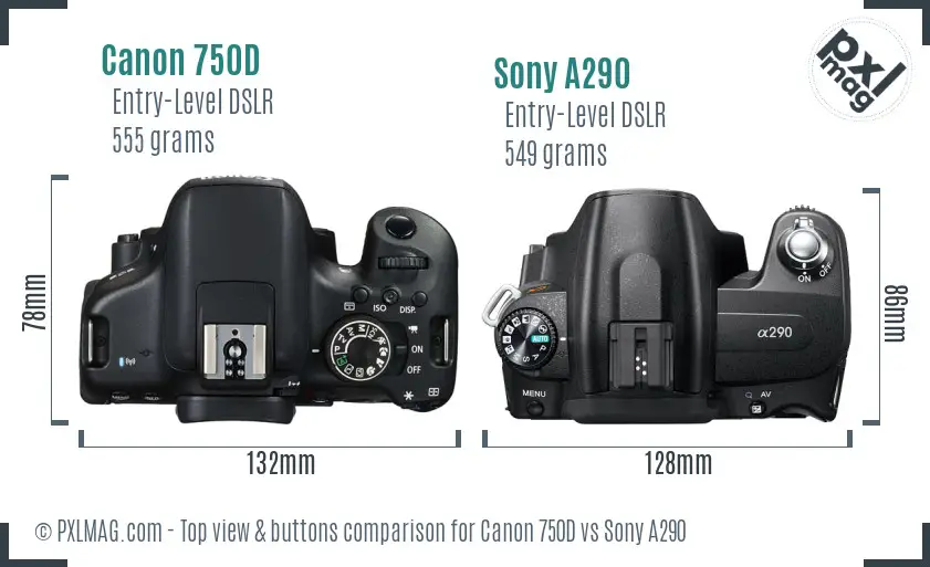 Canon 750D vs Sony A290 top view buttons comparison