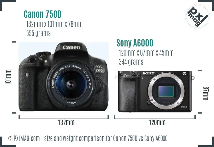 Canon 750D vs Sony A6000 size comparison