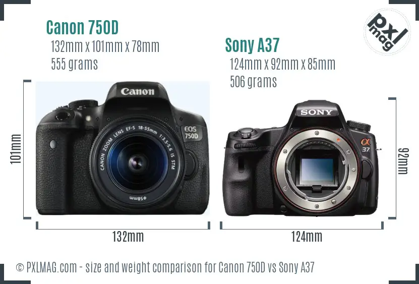 Canon 750D vs Sony A37 size comparison