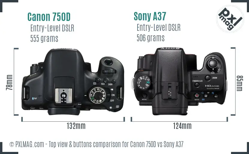 Canon 750D vs Sony A37 top view buttons comparison