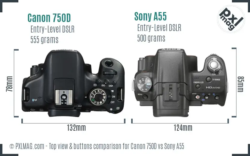 Canon 750D vs Sony A55 top view buttons comparison