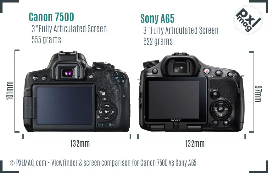 Canon 750D vs Sony A65 Screen and Viewfinder comparison