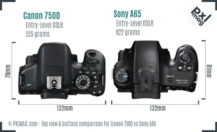 Canon 750D vs Sony A65 top view buttons comparison