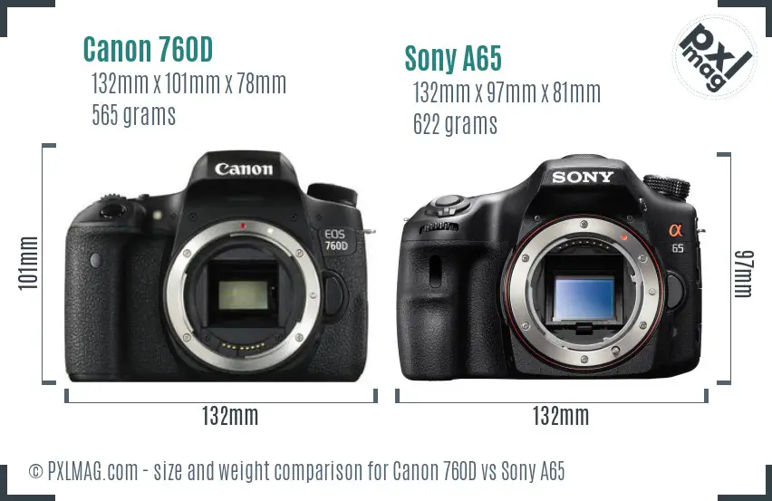 Canon 760D vs Sony A65 size comparison