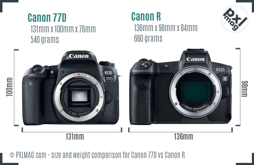Canon 77D vs Canon R size comparison Canon 77D vs Canon R size comparison