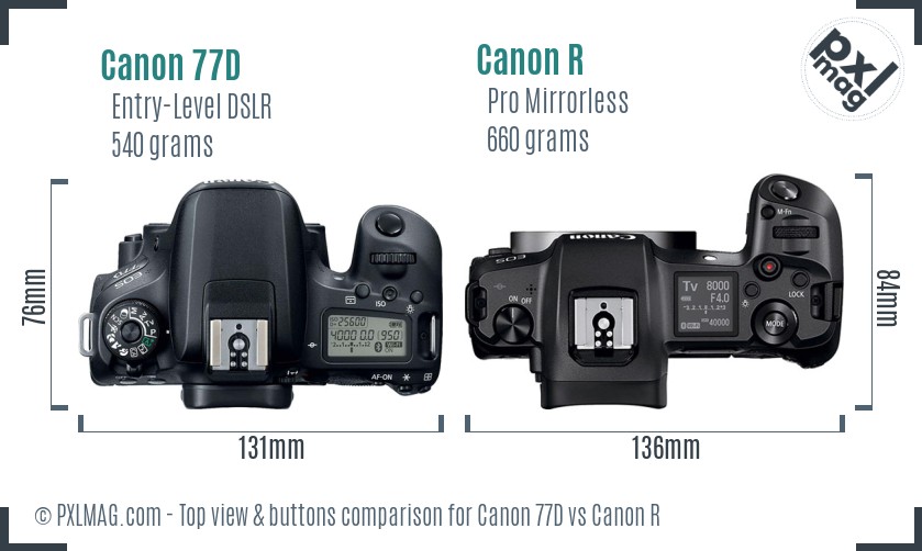 Canon 77D vs Canon R top view buttons comparison
