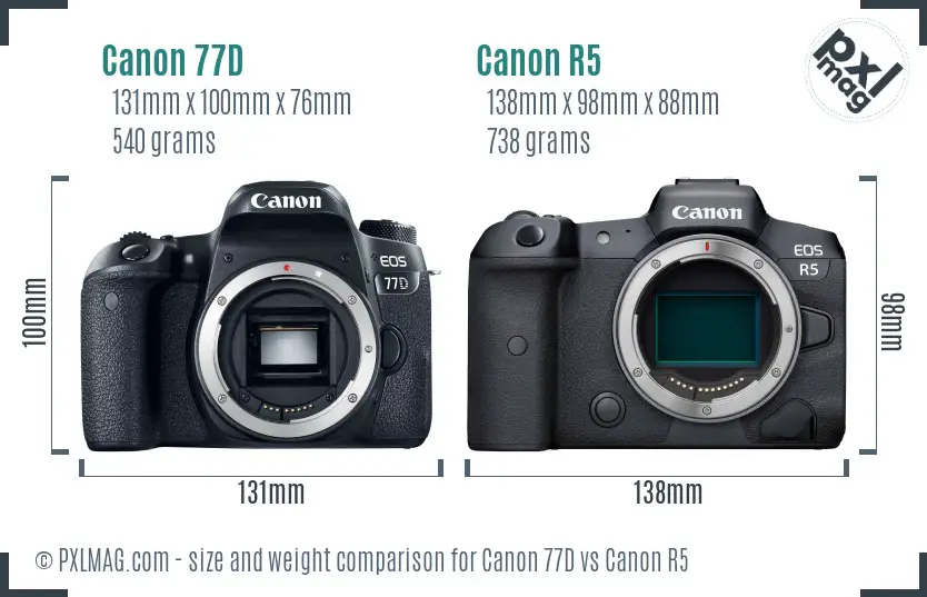 Canon 77D vs Canon R5 size comparison Canon 77D vs Canon R5 size comparison