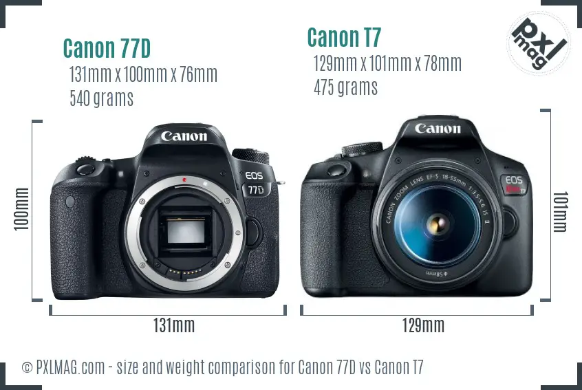 Canon 77D vs Canon T7 size comparison