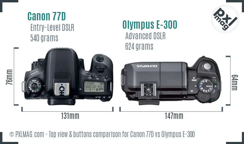Canon 77D vs Olympus E-300 top view buttons comparison
