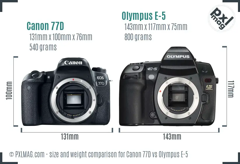 Canon 77D vs Olympus E-5 size comparison
