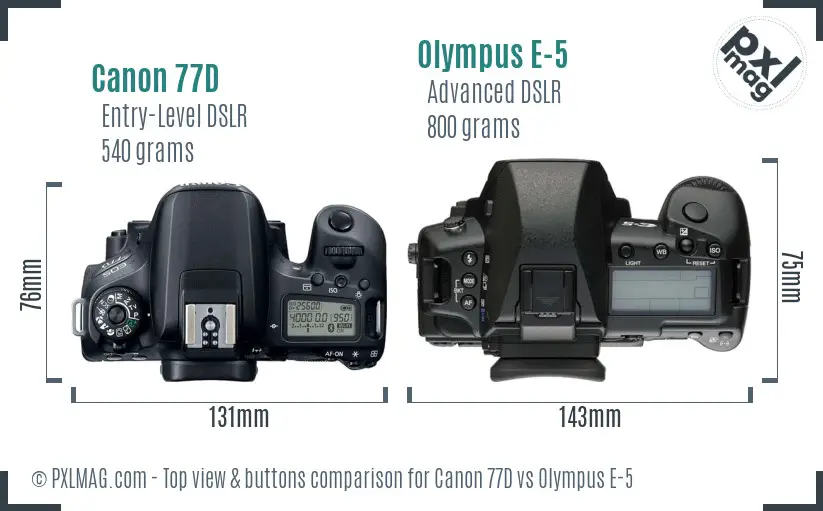 Canon 77D vs Olympus E-5 top view buttons comparison