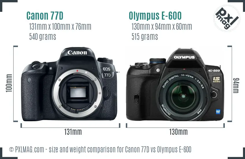 Canon 77D vs Olympus E-600 size comparison