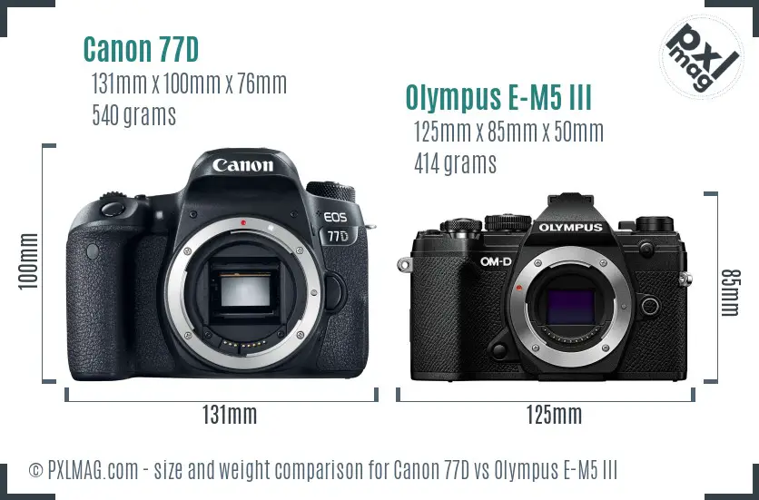 Canon 77D vs Olympus E-M5 III size comparison