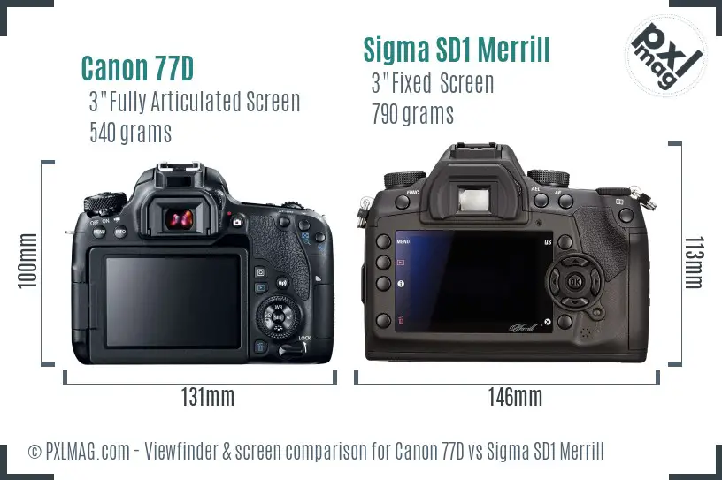 Canon 77D vs Sigma SD1 Merrill Screen and Viewfinder comparison