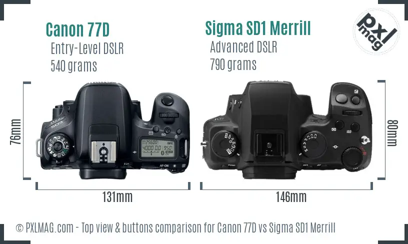 Canon 77D vs Sigma SD1 Merrill top view buttons comparison