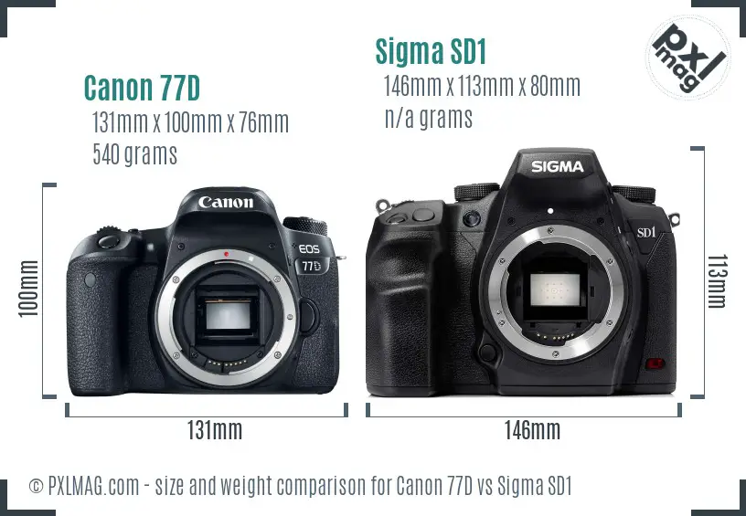 Canon 77D vs Sigma SD1 size comparison