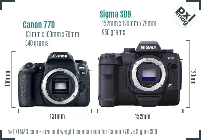Canon 77D vs Sigma SD9 size comparison