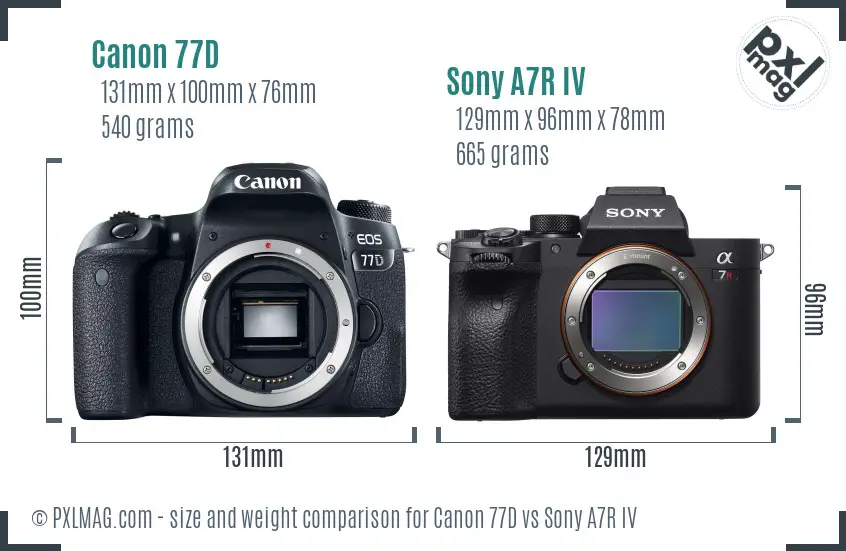 Canon 77D vs Sony A7R IV size comparison