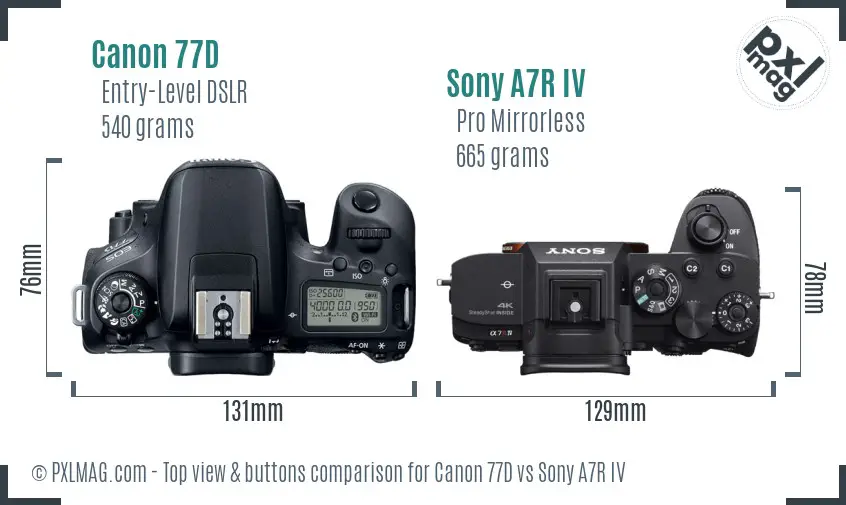 Canon 77D vs Sony A7R IV top view buttons comparison