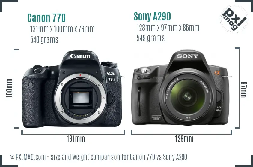 Canon 77D vs Sony A290 size comparison