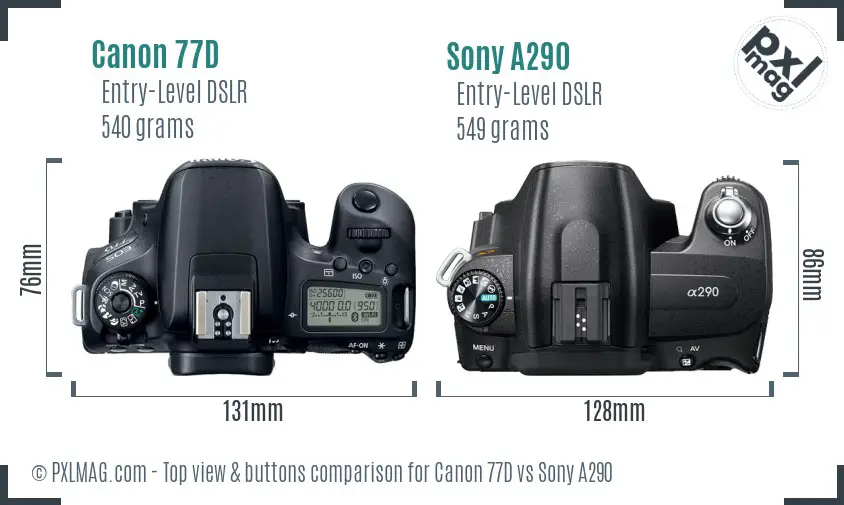 Canon 77D vs Sony A290 top view buttons comparison