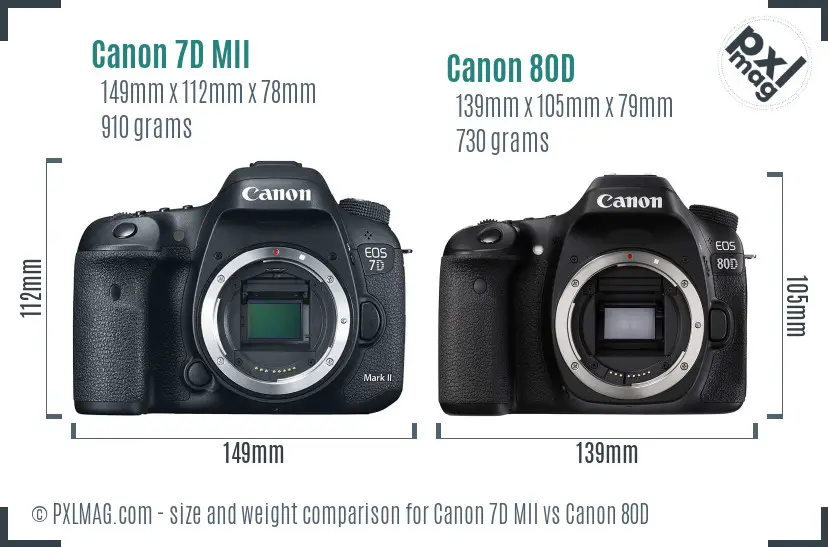 Canon 7D MII vs Canon 80D size comparison